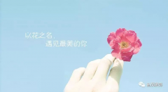 以花之名，遇见最美的你！ — 献给金茂装饰的女神们！